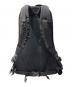 ARC'TERYX (アークテリクス) Arro 22バックパック ブラック：12000円