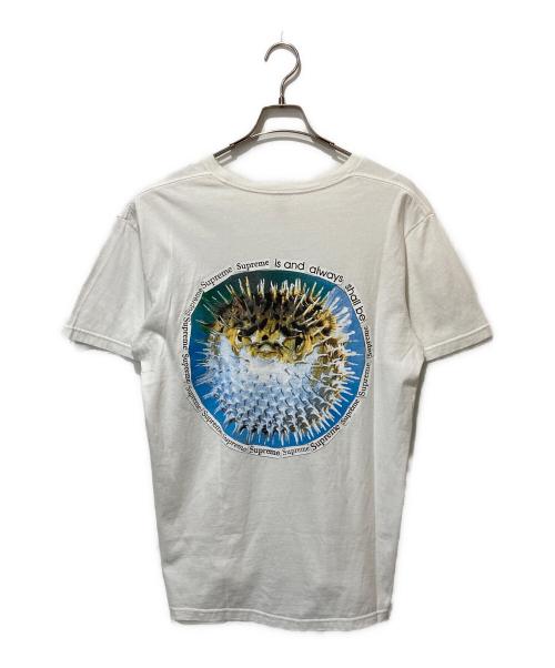 SUPREME（シュプリーム）Supreme (シュプリーム) Blowfish Tee ホワイト サイズ:Mの古着・服飾アイテム
