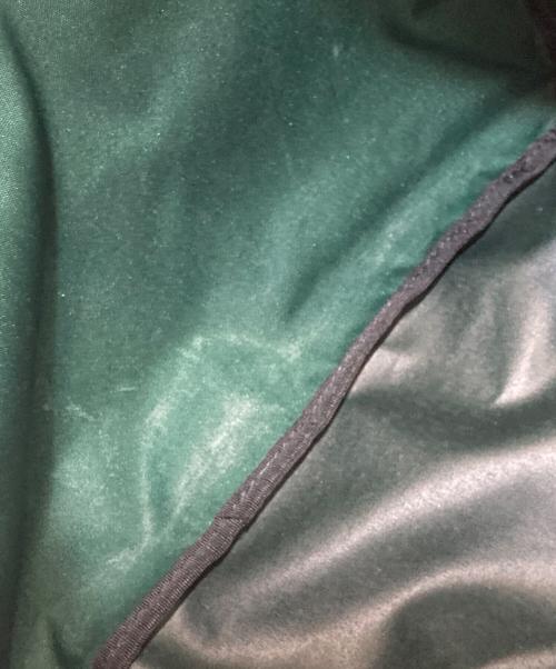 amiacalva（アミアカルヴァ）AMIACALVA (アミアカルヴァ) リュック グリーンの古着・服飾アイテム