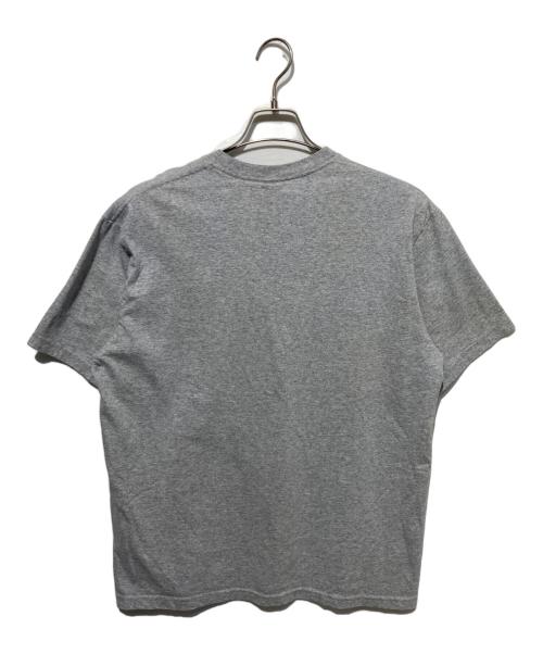 SUPREME（シュプリーム）SUPREME (シュプリーム) Mont Blanc Tee グレー サイズ:Ｍの古着・服飾アイテム