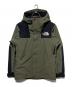 THE NORTH FACE（ザ ノース フェイス）の古着「Mountain Jacket」｜ニュートーブ