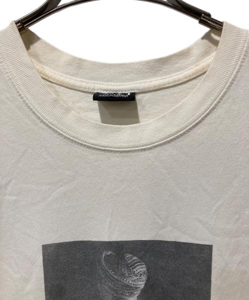 stussy（ステューシー）stussy (ステューシー) LE VIOLON PIG DYED TEEル・ヴィオロン・ピグ・ダイド・ティー ホワイト サイズ:Ｓの古着・服飾アイテム