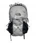 THE NORTH FACE（ザ ノース フェイス）の古着「ウルトラメイフライパック」｜グレー
