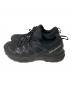 SALOMON (サロモン) X BRAZE GTX  ブラック サイズ:27：8000円