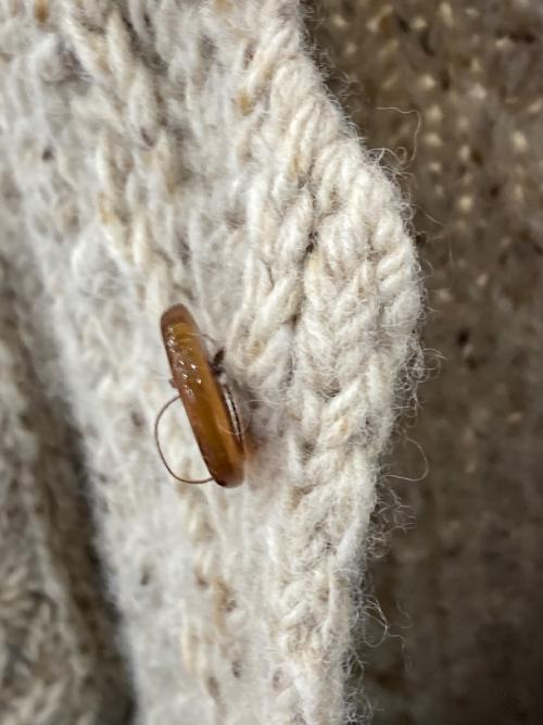 BATONER（バトナ―）BATONER (バトナ―) アランニットカーディガン ベージュ サイズ:2の古着・服飾アイテム