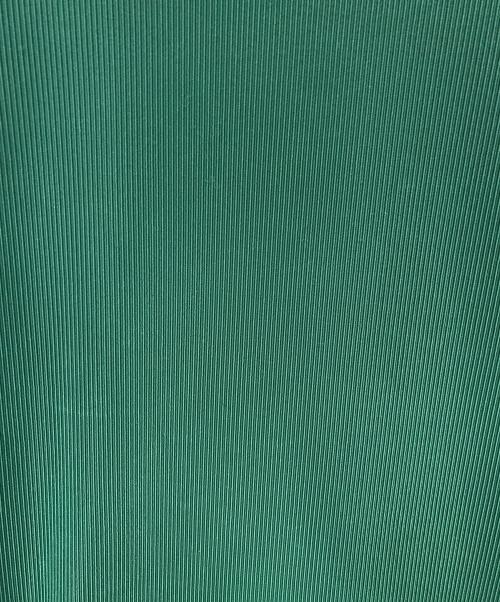 TOGA PULLA（トーガ プルラ）TOGA PULLA (トーガ プルラ) ワンピース グリーン サイズ:36の古着・服飾アイテム