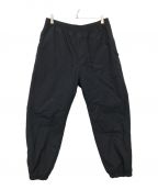 The Ennoy Professional×Stylistshibutsuザ エンノイ プロフェッショナル×Stylistshibutsu）の古着「NYLON PADDED PANTS」｜ネイビー