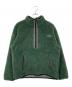 THE NORTH FACE（ザ ノース フェイス）の古着「SWEET WATER PULLOVER BIO」｜グリーン