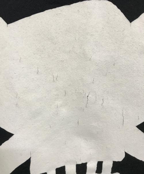 stussy（ステューシー）stussy (ステューシー) スカルロゴパーカー ブラック サイズ:Mの古着・服飾アイテム