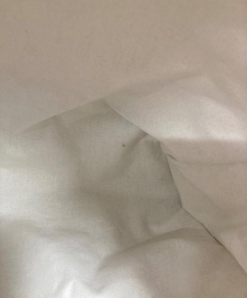 Acne studios（アクネ ストゥディオス）Acne studios (アクネ ストゥディオス) シャイニートートバッグ ブラウンの古着・服飾アイテム