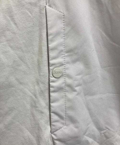 HERNO（ヘルノ）HERNO (ヘルノ) 切替カットソー ライトグレー サイズ:44の古着・服飾アイテム