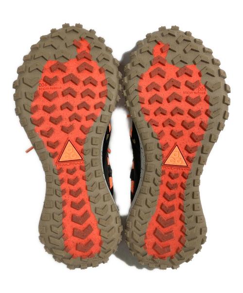 NIKE（ナイキ）NIKE (ナイキ) Mountain Fly Low GTX SE ブラウン サイズ:27の古着・服飾アイテム