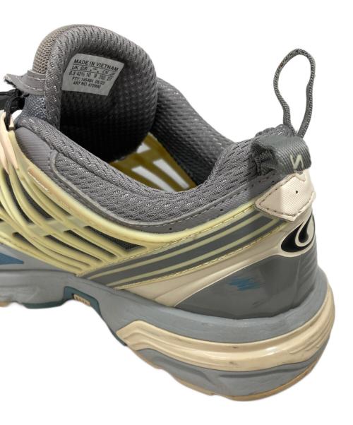 SALOMON（サロモン）SALOMON (サロモン) スニーカー グレー サイズ:27の古着・服飾アイテム