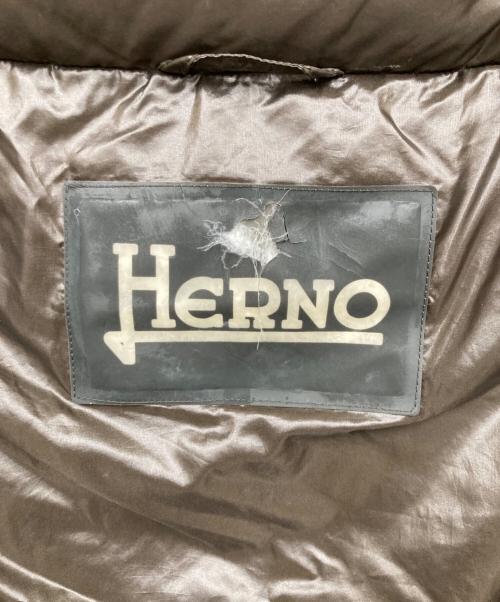 HERNO（ヘルノ）HERNO (ヘルノ) イコニコ ダウンジャケット ブラウン サイズ:42の古着・服飾アイテム