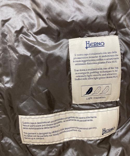 HERNO（ヘルノ）HERNO (ヘルノ) イコニコ ダウンジャケット ブラウン サイズ:42の古着・服飾アイテム