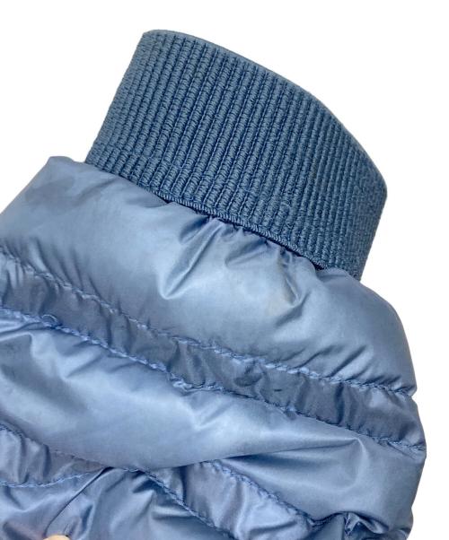 MONCLER（モンクレール）MONCLER (モンクレール) VIOLETTEダウンジャケット スカイブルーの古着・服飾アイテム