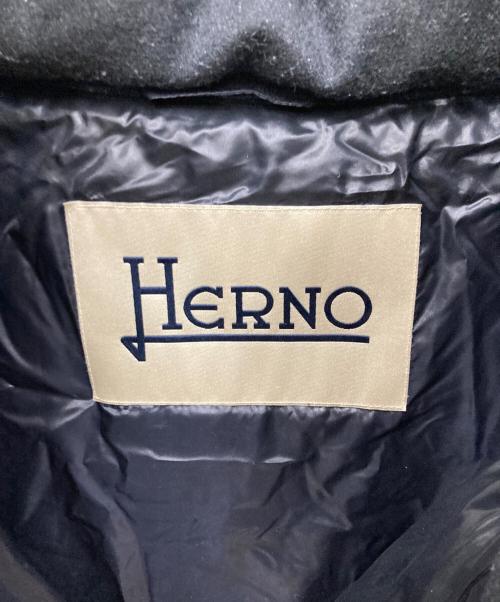 HERNO（ヘルノ）HERNO (ヘルノ) ダウンジャケット グレー サイズ:42の古着・服飾アイテム