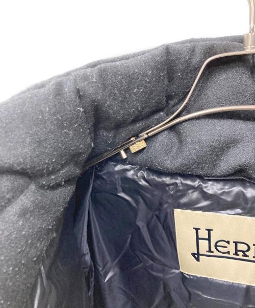 HERNO（ヘルノ）HERNO (ヘルノ) ダウンジャケット グレー サイズ:42の古着・服飾アイテム