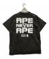 EMOTIONALLY  UNAVAILABLE (エモーショナリー アンアベイラブル) A BATHING APE (ア ベイシング エイプ) APE HEAD TEE グレー サイズ:M：20000円