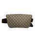 GUCCI (グッチ) ウエストポーチ：45000円
