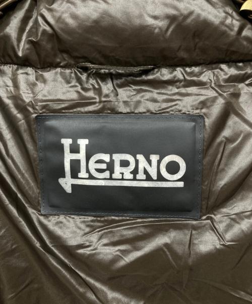 HERNO（ヘルノ）HERNO (ヘルノ) イコニコ ダウンジャケット ブラウン サイズ:42の古着・服飾アイテム