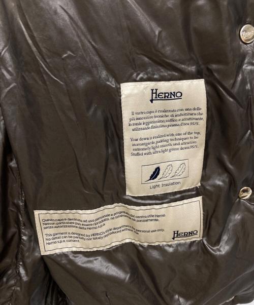 HERNO（ヘルノ）HERNO (ヘルノ) イコニコ ダウンジャケット ブラウン サイズ:42の古着・服飾アイテム