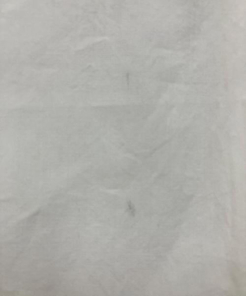 DANTON（ダントン）DANTON (ダントン) シャツワンピース ホワイト サイズ:36の古着・服飾アイテム