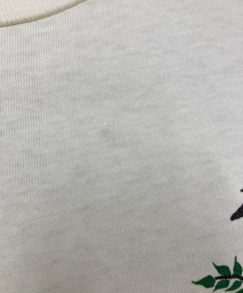 stussy（ステューシー）stussy (ステューシー) Tシャツ ホワイト サイズ:Mの古着・服飾アイテム