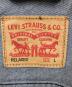 LEVI'Sの古着・服飾アイテム：10000円