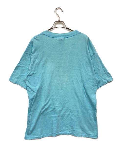 stussy（ステューシー）stussy (ステューシー) Tシャツ スカイブルー サイズ:Lの古着・服飾アイテム