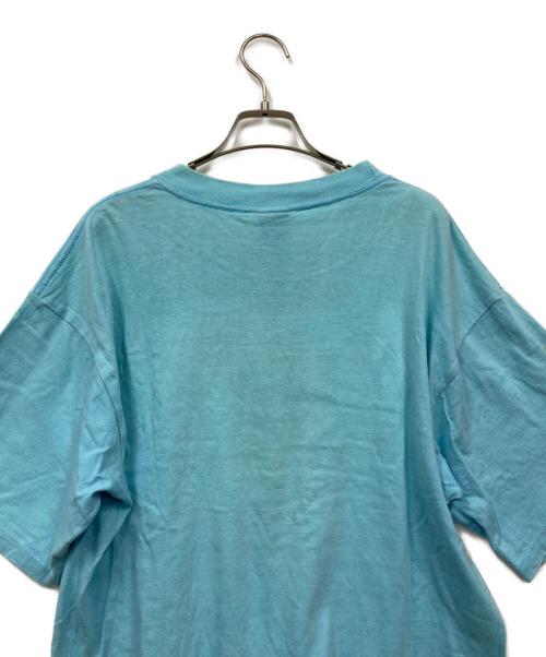 stussy（ステューシー）stussy (ステューシー) Tシャツ スカイブルー サイズ:Lの古着・服飾アイテム