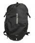 SALOMON（サロモン）の古着「TRAILBLAZER 30 リュック」｜ブラック