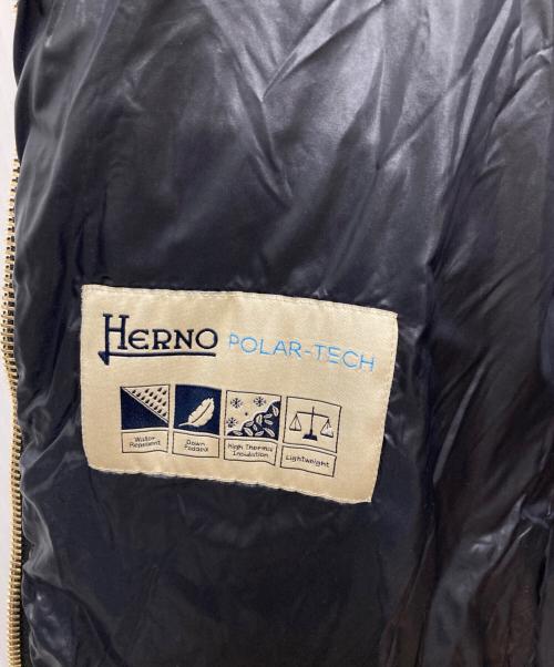 HERNO（ヘルノ）HERNO (ヘルノ) ダウンコート ブラック サイズ:42の古着・服飾アイテム