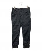 ARC'TERYXアークテリクス）の古着「PHELIX PANT」｜グレー