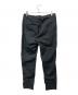 ARC'TERYX (アークテリクス) PHELIX PANT グレー サイズ:W32：10000円