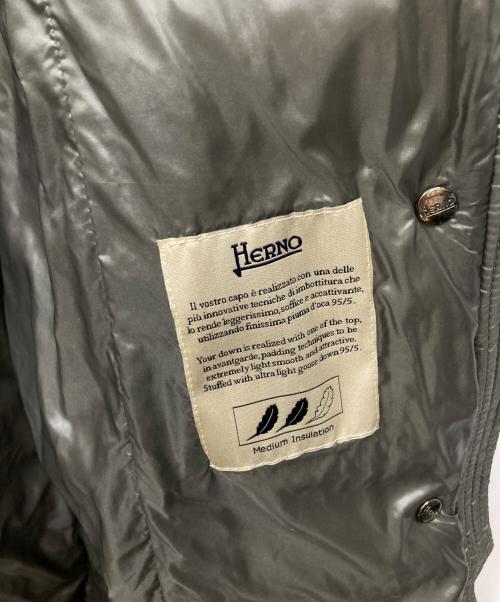 HERNO（ヘルノ）HERNO (ヘルノ) LAVJAP ロングダウンジャケット グレー サイズ:46の古着・服飾アイテム
