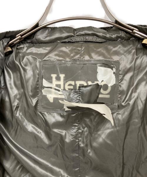 HERNO（ヘルノ）HERNO (ヘルノ) LAVJAP ロングダウンジャケット グレー サイズ:46の古着・服飾アイテム