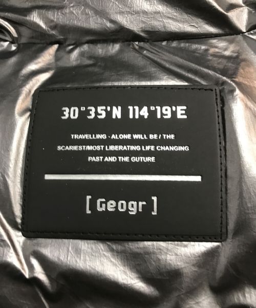 EMMAUELA（エマヌエーラ）Emmauela (エマヌエーラ) ダウンジャケット シルバー サイズ:52の古着・服飾アイテム