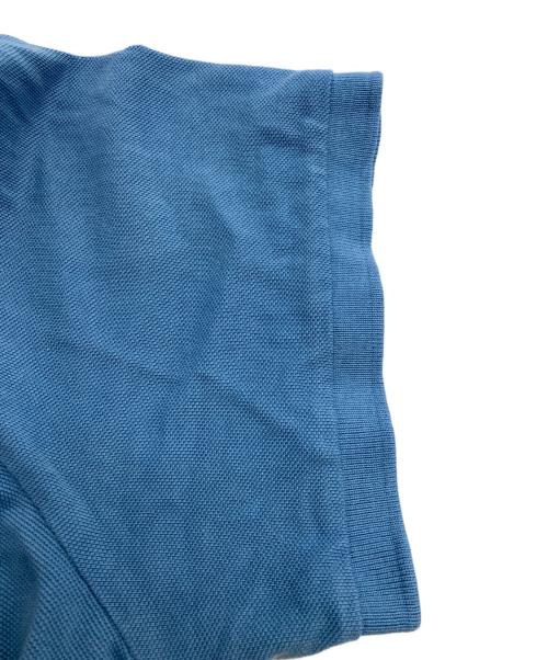 POLO RALPH LAUREN（ポロ・ラルフローレン）POLO RALPH LAUREN (ポロ・ラルフローレン) 刺繍ペイントポロシャツ ブルー サイズ:XLの古着・服飾アイテム