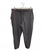 Patagoniaパタゴニア）の古着「Skyline Traveler Pants」｜グレー