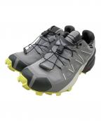SALOMONサロモン）の古着「SPEED CROSS GTX」｜グレー