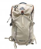 GREGORYグレゴリー）の古着「NANO24 リュック」｜ベージュ