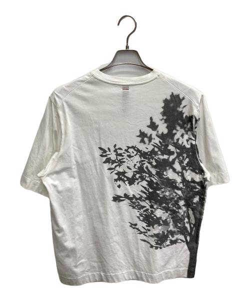 SHINYA KOZUKA（シンヤコズカ）SHINYA KOZUKA (シンヤコズカ) プリントTシャツ/TREE Tシャツ ホワイト サイズ:Lの古着・服飾アイテム