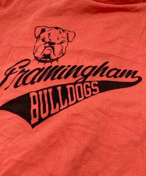 JUNYA WATANABE COMME des GARCONS（ジュンヤワタナベ コムデギャルソン）JUNYA WATANABE COMME des GARCONS ((ジュンヤワタナベ コムデギャルソン) プリントワンピース【AD2016】 レッド サイズ:Sの古着・服飾アイテム