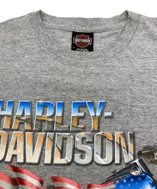 HARLEY-DAVIDSON（ハーレーダビッドソン）HARLEY-DAVIDSON (ハーレーダビッドソン) Tシャツ グレー サイズ:Mの古着・服飾アイテム
