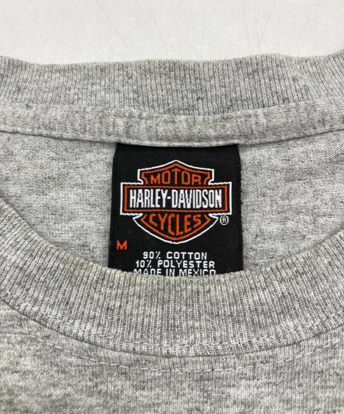 HARLEY-DAVIDSON（ハーレーダビッドソン）HARLEY-DAVIDSON (ハーレーダビッドソン) Tシャツ グレー サイズ:Mの古着・服飾アイテム