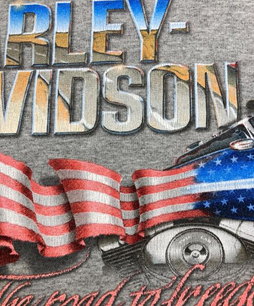 HARLEY-DAVIDSON（ハーレーダビッドソン）HARLEY-DAVIDSON (ハーレーダビッドソン) Tシャツ グレー サイズ:Mの古着・服飾アイテム