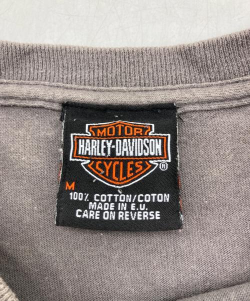 HARLEY-DAVIDSON（ハーレーダビッドソン）HARLEY-DAVIDSON (ハーレーダビッドソン) Tシャツ グレー サイズ:Mの古着・服飾アイテム