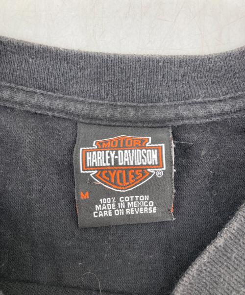 HARLEY-DAVIDSON（ハーレーダビッドソン）HARLEY-DAVIDSON (ハーレーダビッドソン) イーグルプリントTシャツ ブラック サイズ:Mの古着・服飾アイテム