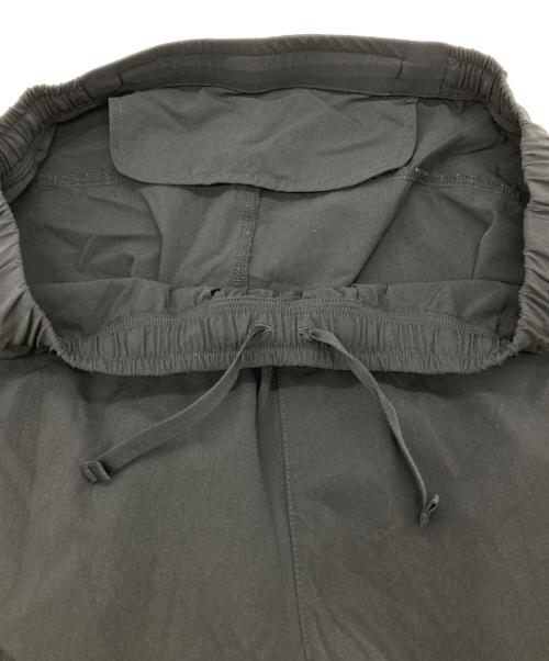 THE NORTH FACE（ザ ノース フェイス）THE NORTH FACE (ザ ノース フェイス) Flexible Ankle Pant ブラック サイズ:Lの古着・服飾アイテム